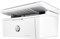 МФУ лазерное черно-белое HP LaserJet M141w 100039