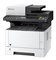 МФУ лазерное черно-белое Kyocera ECOSYS M2135dn 100002