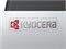 МФУ лазерное черно-белое Kyocera M4125idn 100026